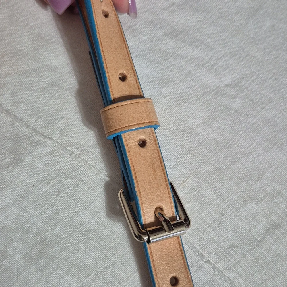 Dooney&Bourke Disney Annaversery Crossbody Bag 11x11x4 - Picture 8 of 8